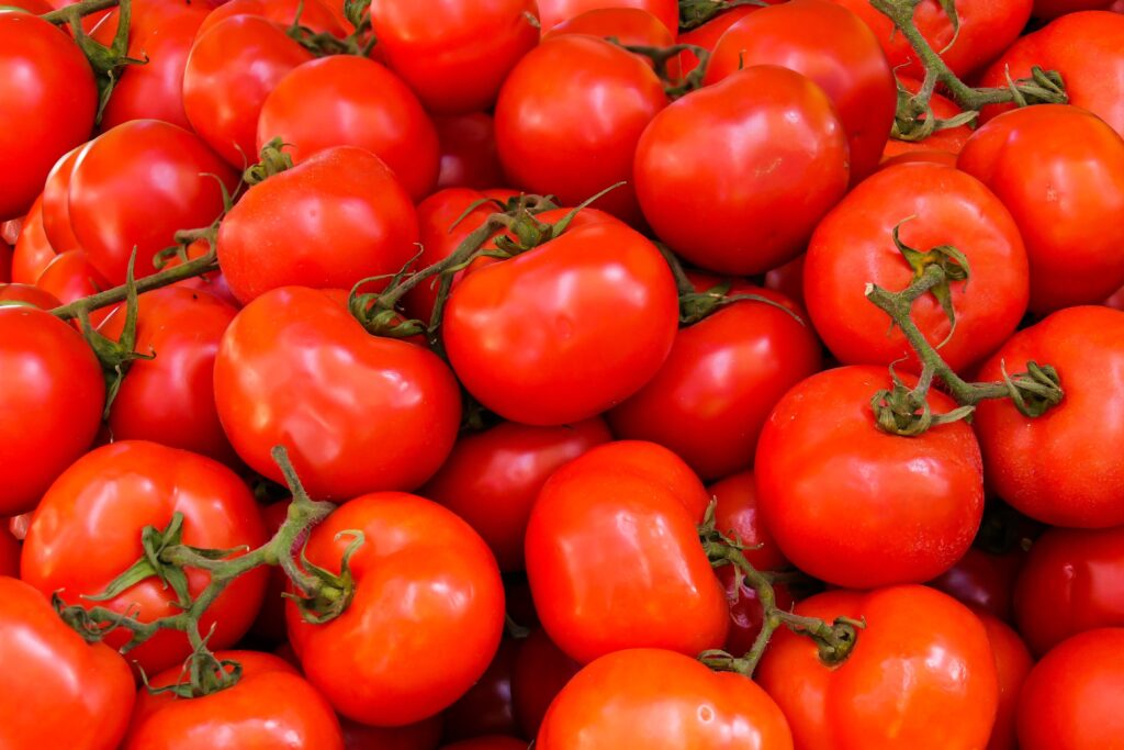 growing tomatoes